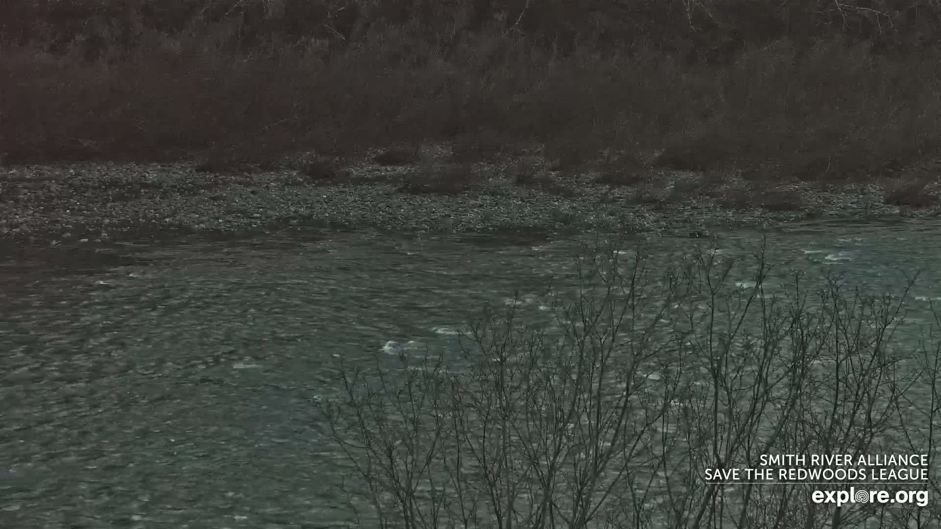 Crescent City, Jedediah Smith Redwoods State Park & Smith River Live Cam - Crescent City, Del Norte, California, USA