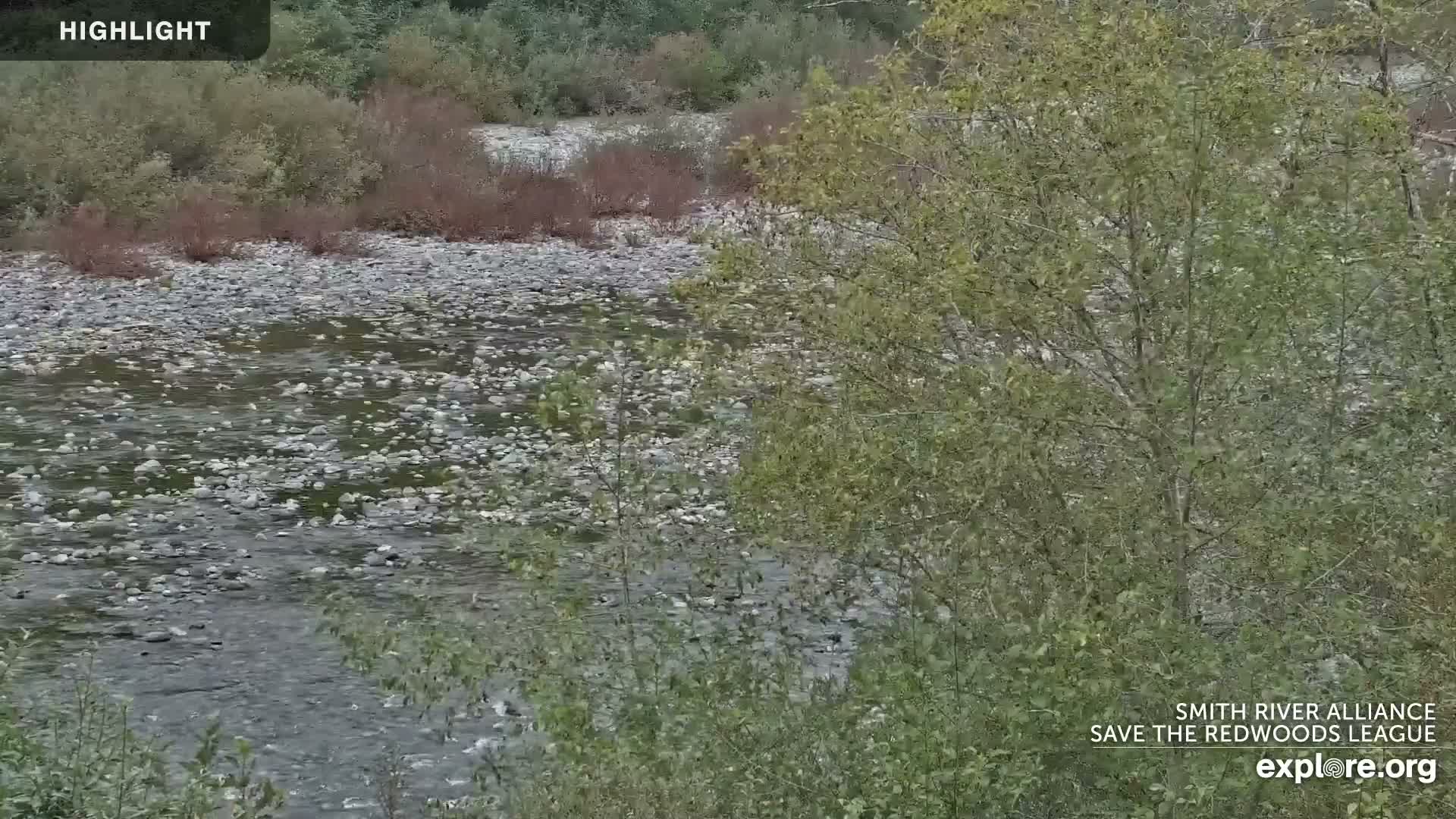 Crescent City, Jedediah Smith Redwoods State Park & Smith River Live Cam - Crescent City, Del Norte, California, USA