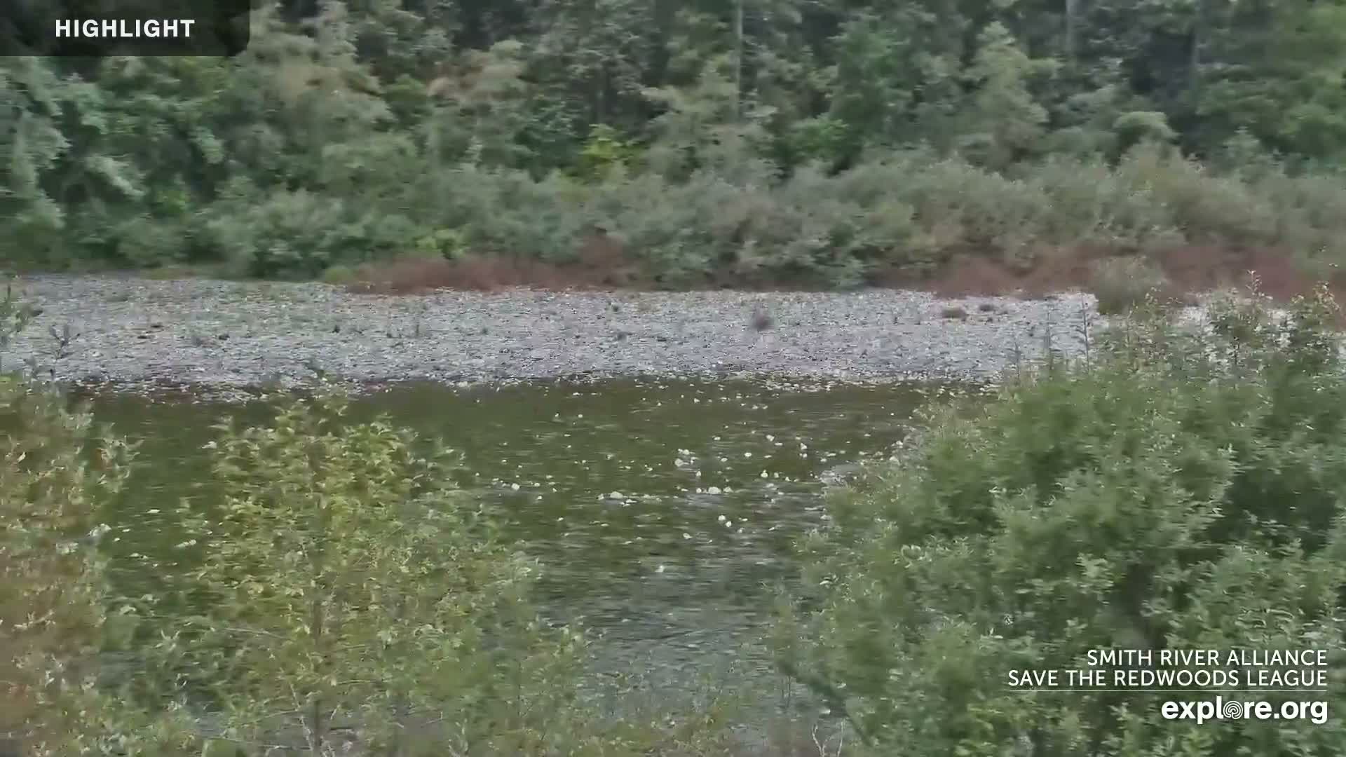 Crescent City, Jedediah Smith Redwoods State Park & Smith River Live Cam - Crescent City, Del Norte, California, USA