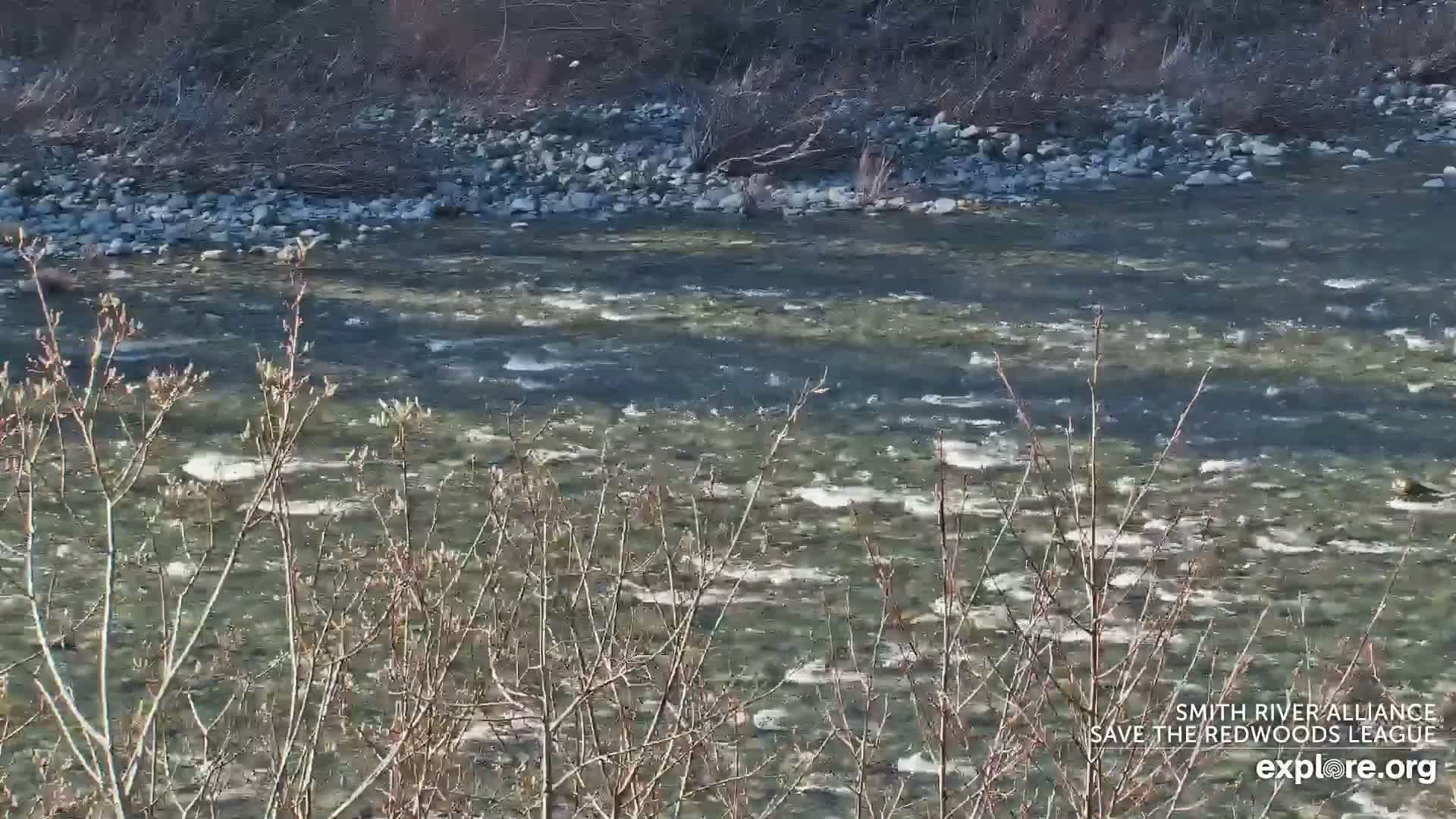 Crescent City, Jedediah Smith Redwoods State Park & Smith River Live Cam - Crescent City, Del Norte, California, USA