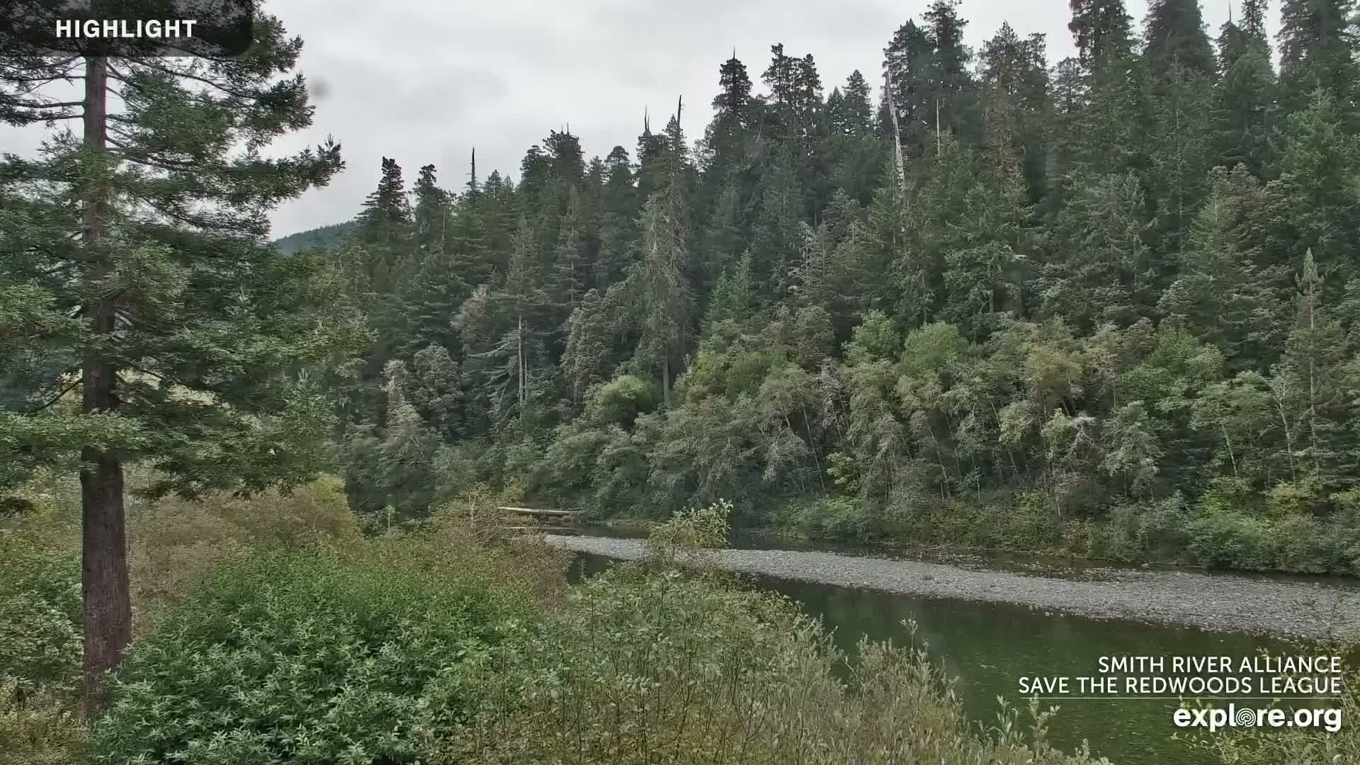 Crescent City, Jedediah Smith Redwoods State Park & Smith River Live Cam - Crescent City, Del Norte, California, USA