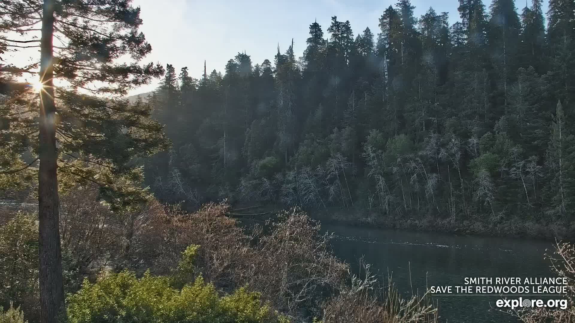 Crescent City, Jedediah Smith Redwoods State Park & Smith River Live Cam - Crescent City, Del Norte, California, USA