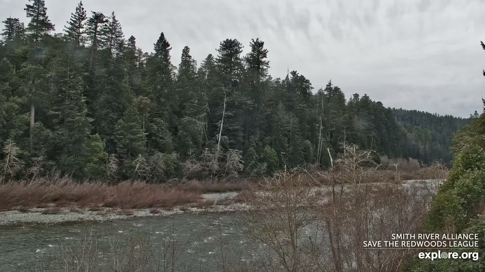 Crescent City, Jedediah Smith Redwoods State Park & Smith River Live Cam - Crescent City, Del Norte, California, USA