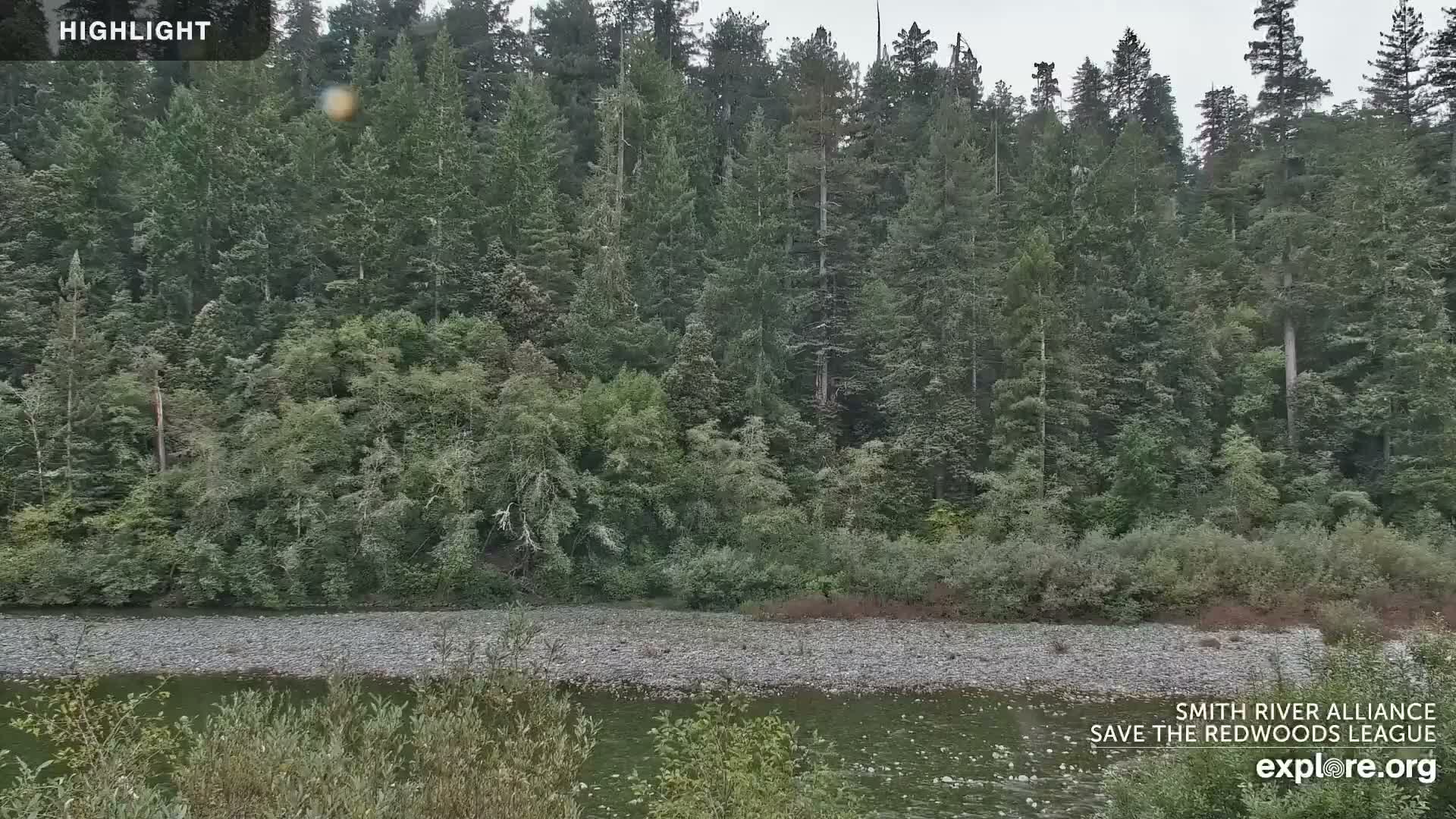 Crescent City, Jedediah Smith Redwoods State Park & Smith River Live Cam - Crescent City, Del Norte, California, USA