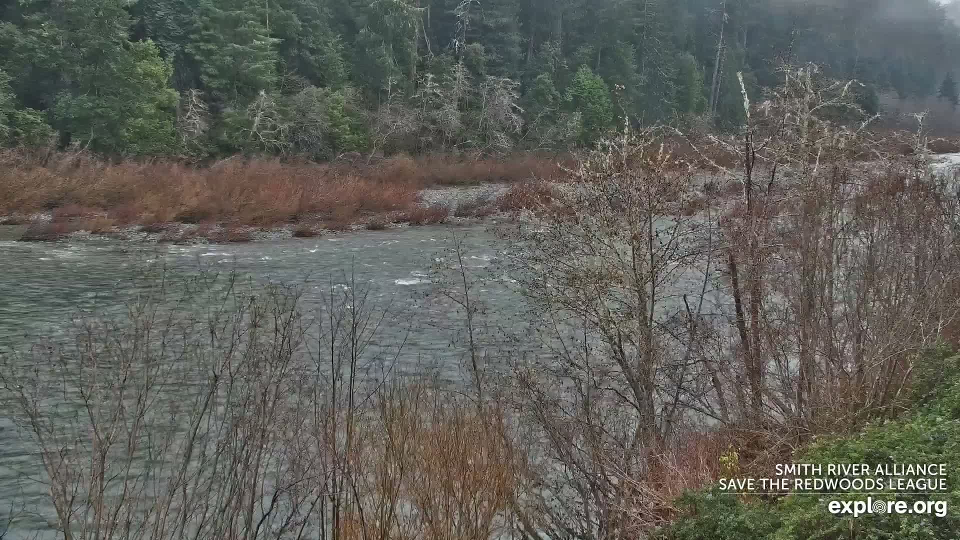 Crescent City, Jedediah Smith Redwoods State Park & Smith River Live Cam - Crescent City, Del Norte, California, USA