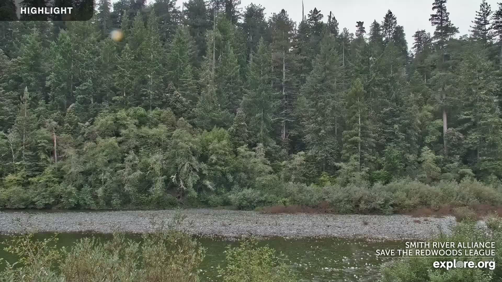 Crescent City, Jedediah Smith Redwoods State Park & Smith River Live Cam - Crescent City, Del Norte, California, USA