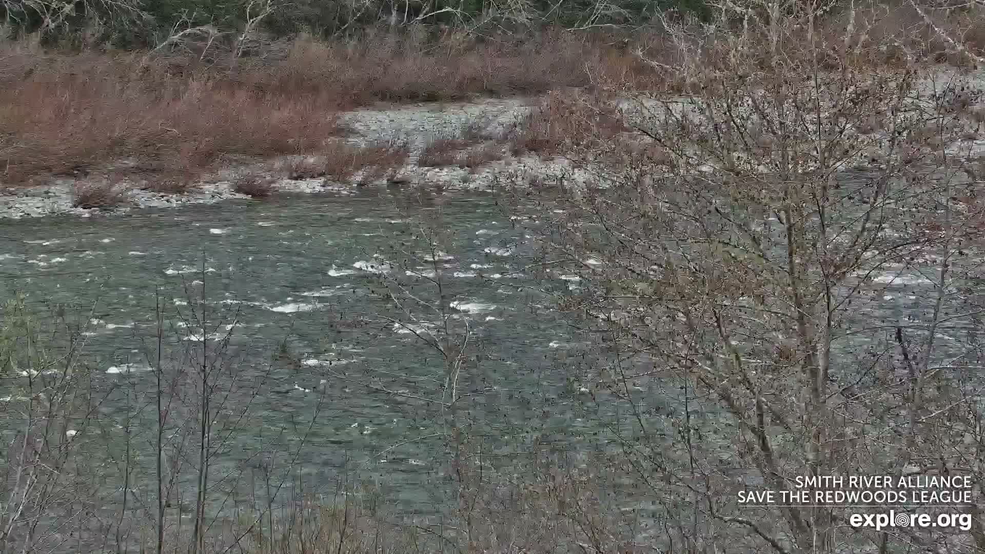 Crescent City, Jedediah Smith Redwoods State Park & Smith River Live Cam - Crescent City, Del Norte, California, USA
