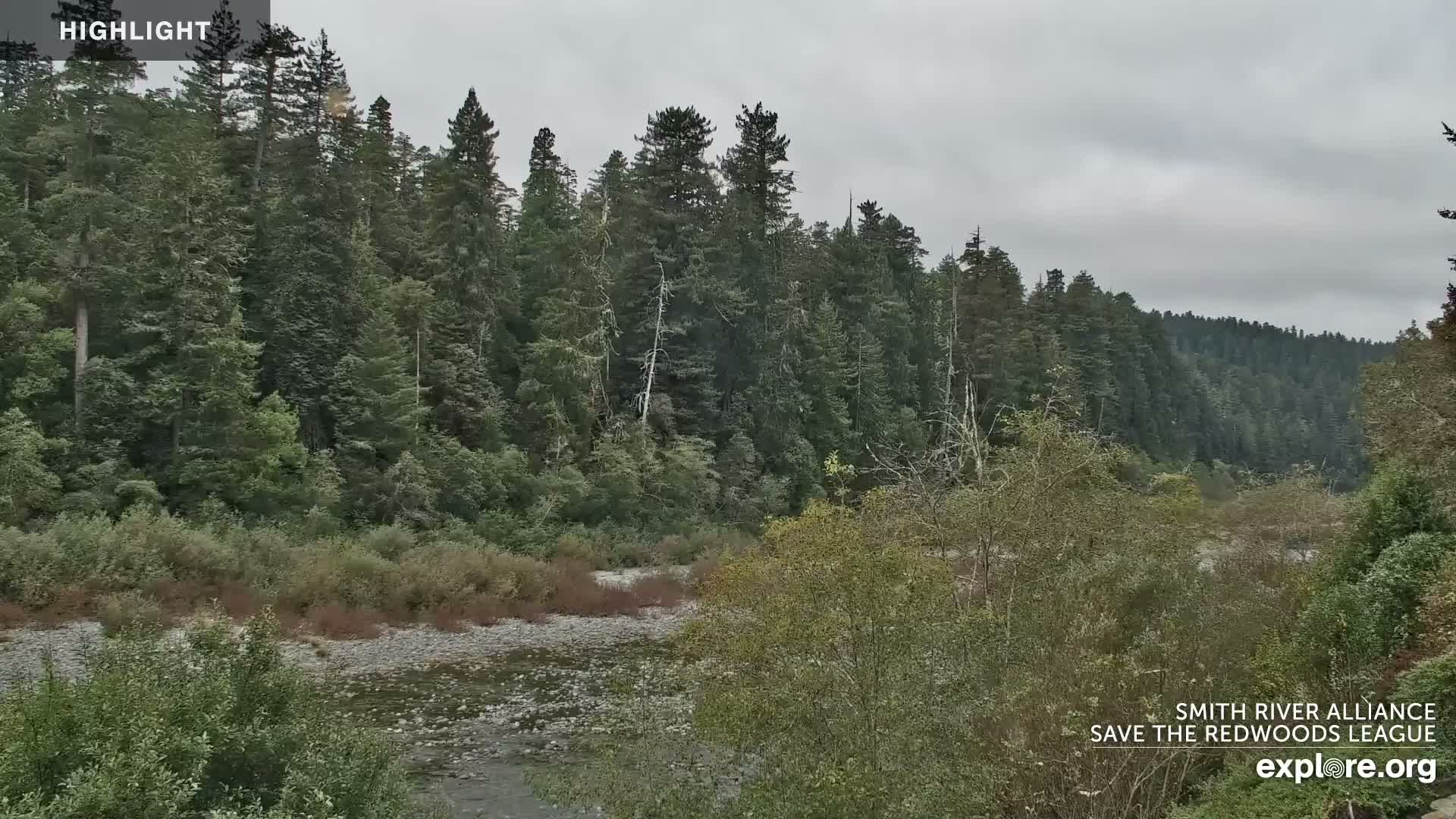 Crescent City, Jedediah Smith Redwoods State Park & Smith River Live Cam - Crescent City, Del Norte, California, USA