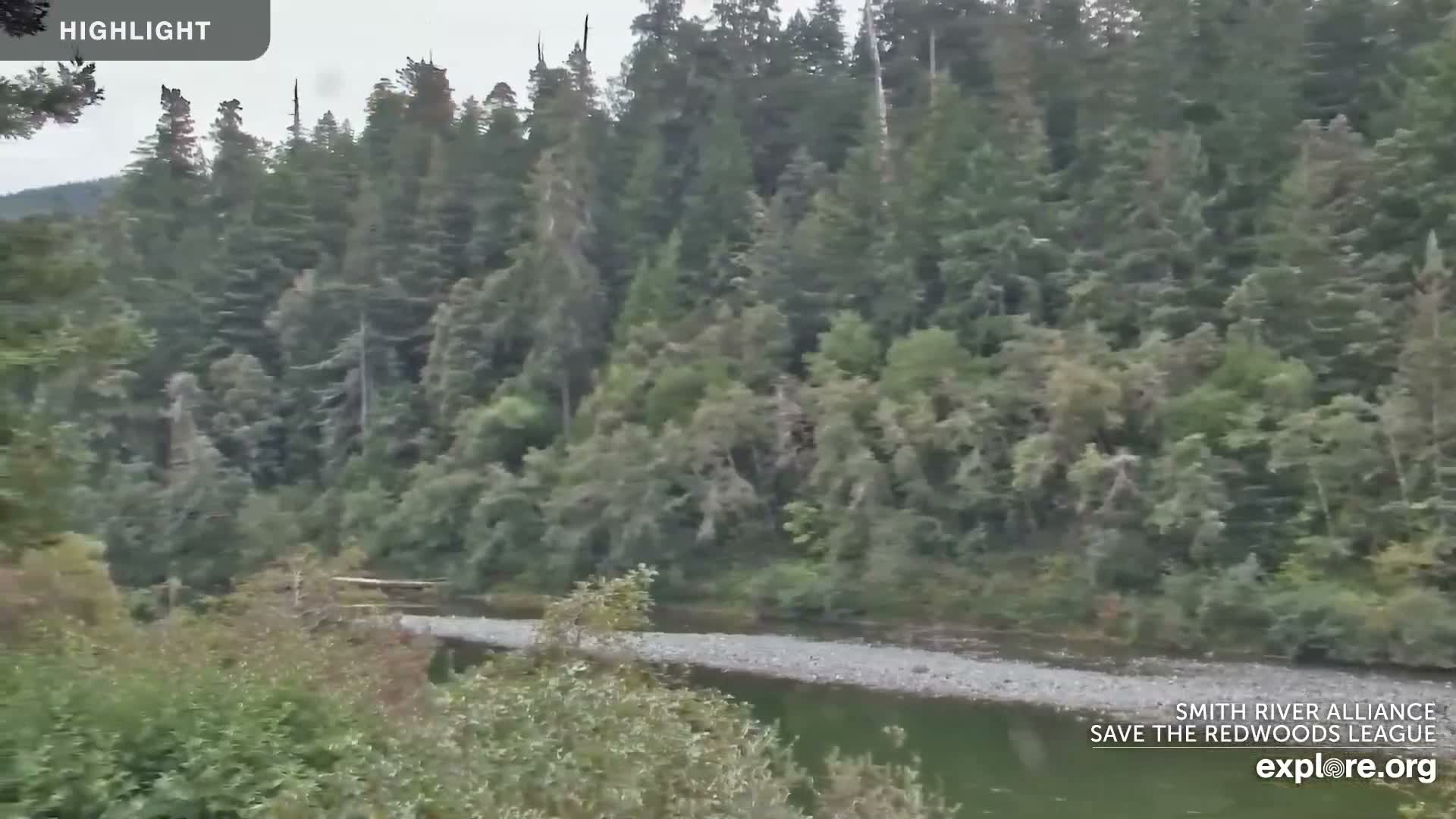 Crescent City, Jedediah Smith Redwoods State Park & Smith River Live Cam - Crescent City, Del Norte, California, USA