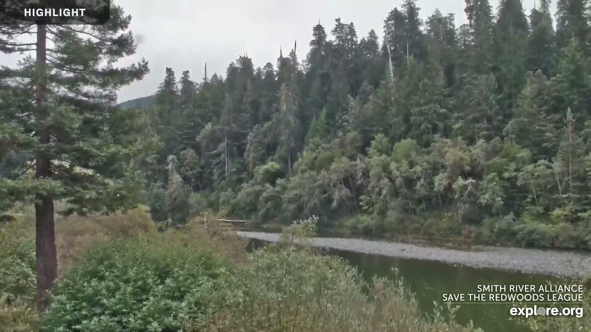 Crescent City, Jedediah Smith Redwoods State Park & Smith River Live Cam - Crescent City, Del Norte, California, USA