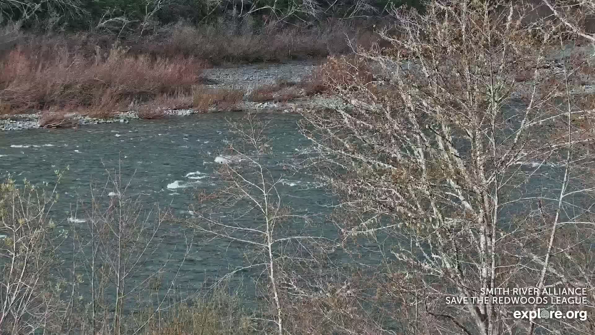 Crescent City, Jedediah Smith Redwoods State Park & Smith River Live Cam - Crescent City, Del Norte, California, USA