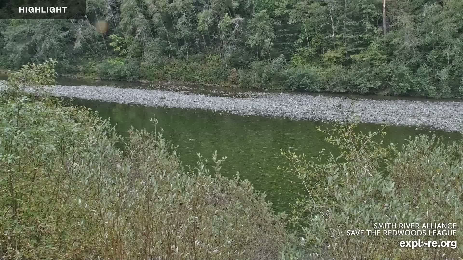 Crescent City, Jedediah Smith Redwoods State Park & Smith River Live Cam - Crescent City, Del Norte, California, USA