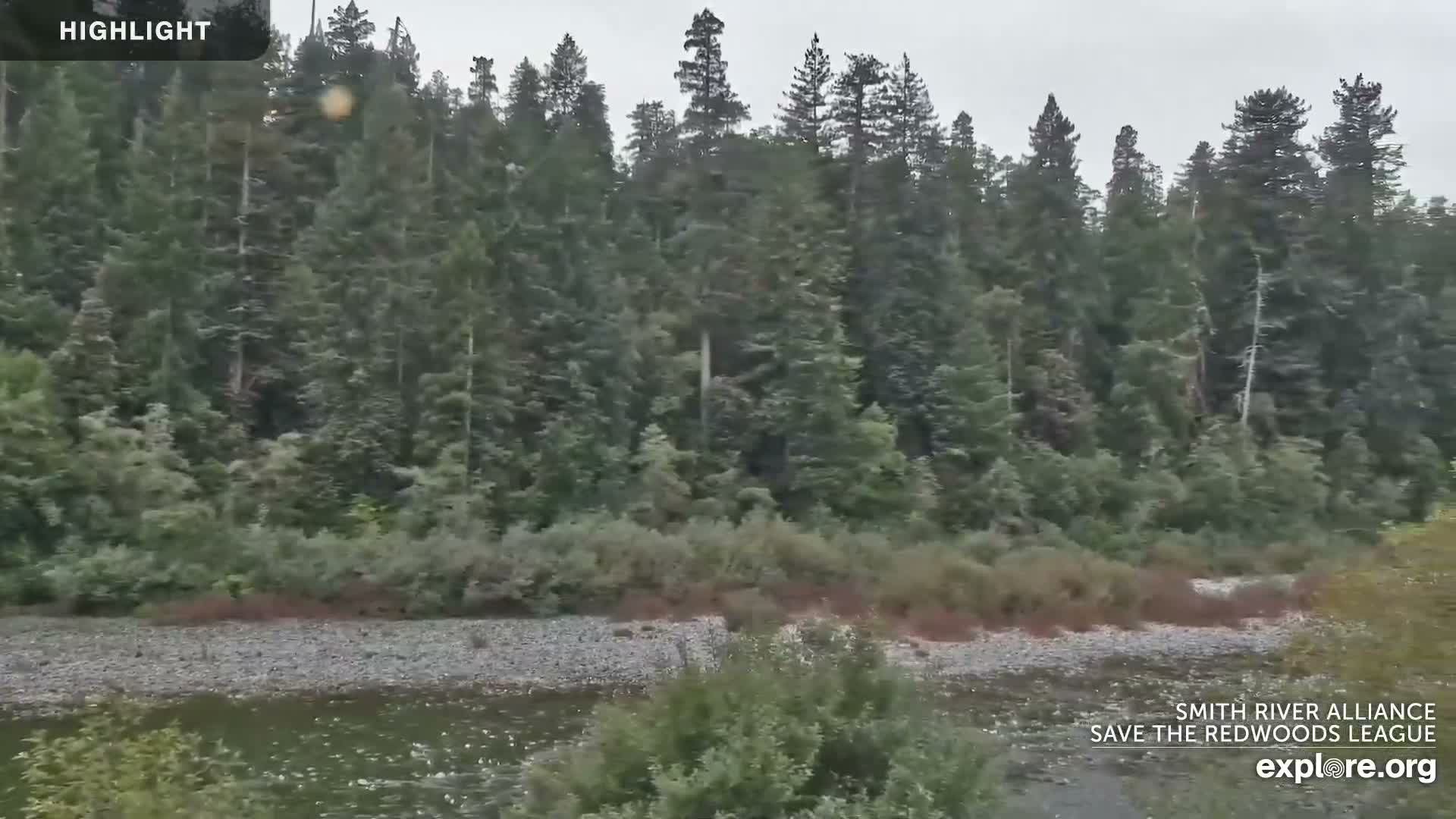 Crescent City, Jedediah Smith Redwoods State Park & Smith River Live Cam - Crescent City, Del Norte, California, USA