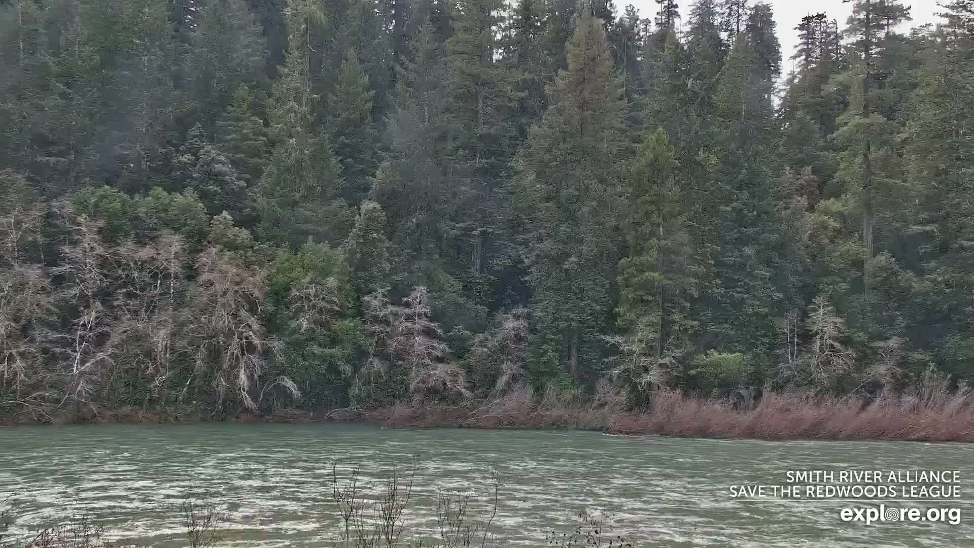 Crescent City, Jedediah Smith Redwoods State Park & Smith River Live Cam - Crescent City, Del Norte, California, USA