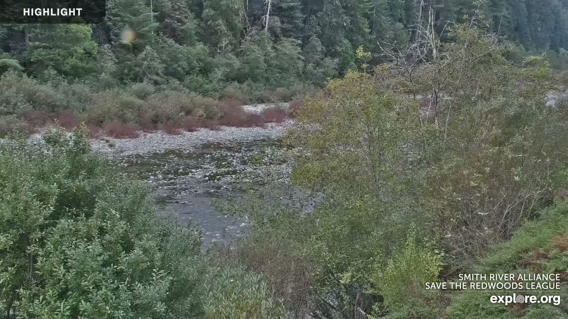 Crescent City, Jedediah Smith Redwoods State Park & Smith River Live Cam - Crescent City, Del Norte, California, USA