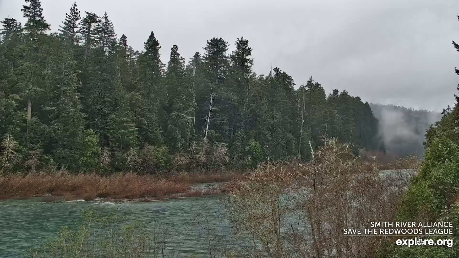 Crescent City, Jedediah Smith Redwoods State Park & Smith River Live Cam - Crescent City, Del Norte, California, USA