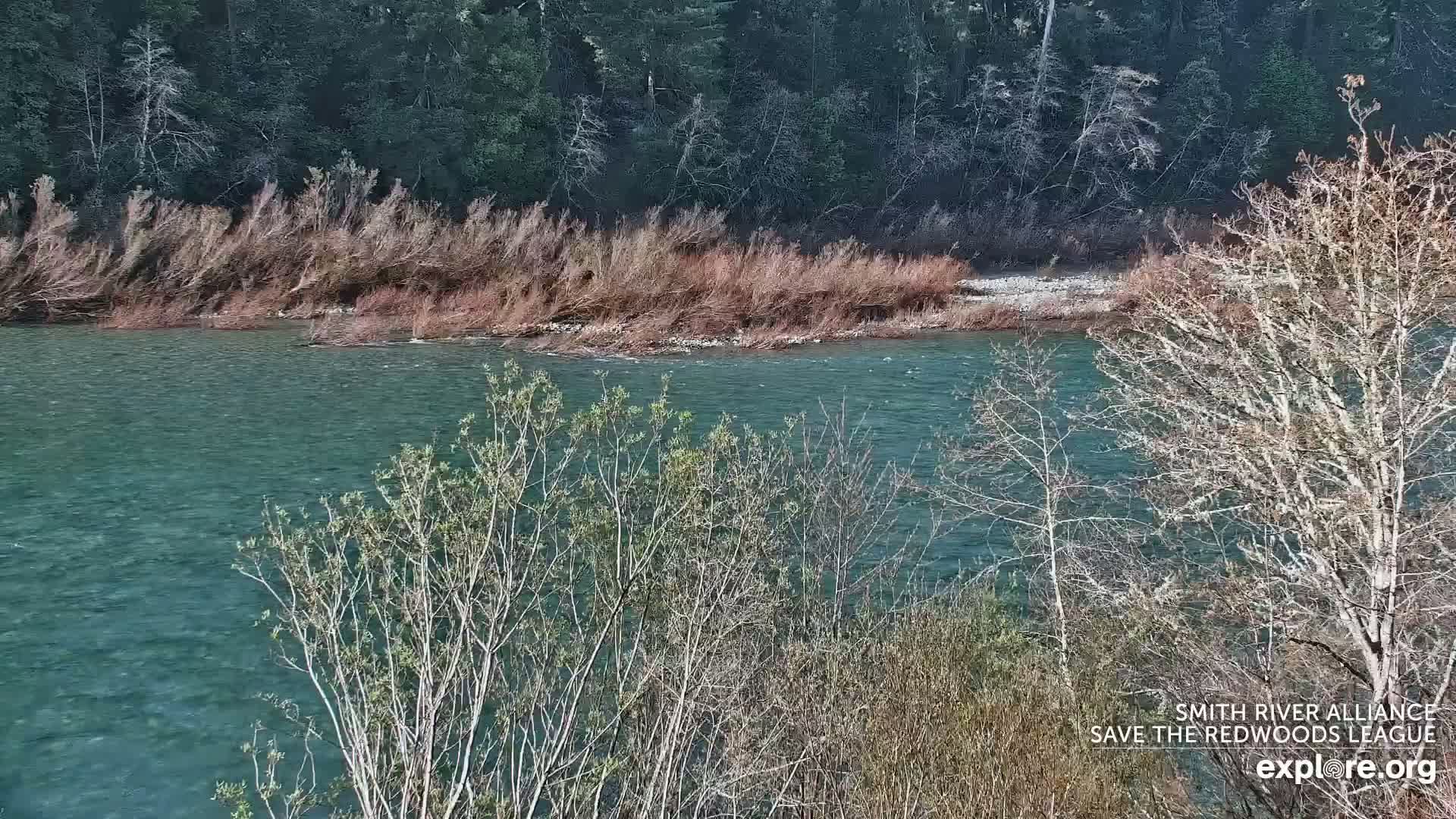 Crescent City, Jedediah Smith Redwoods State Park & Smith River Live Cam - Crescent City, Del Norte, California, USA
