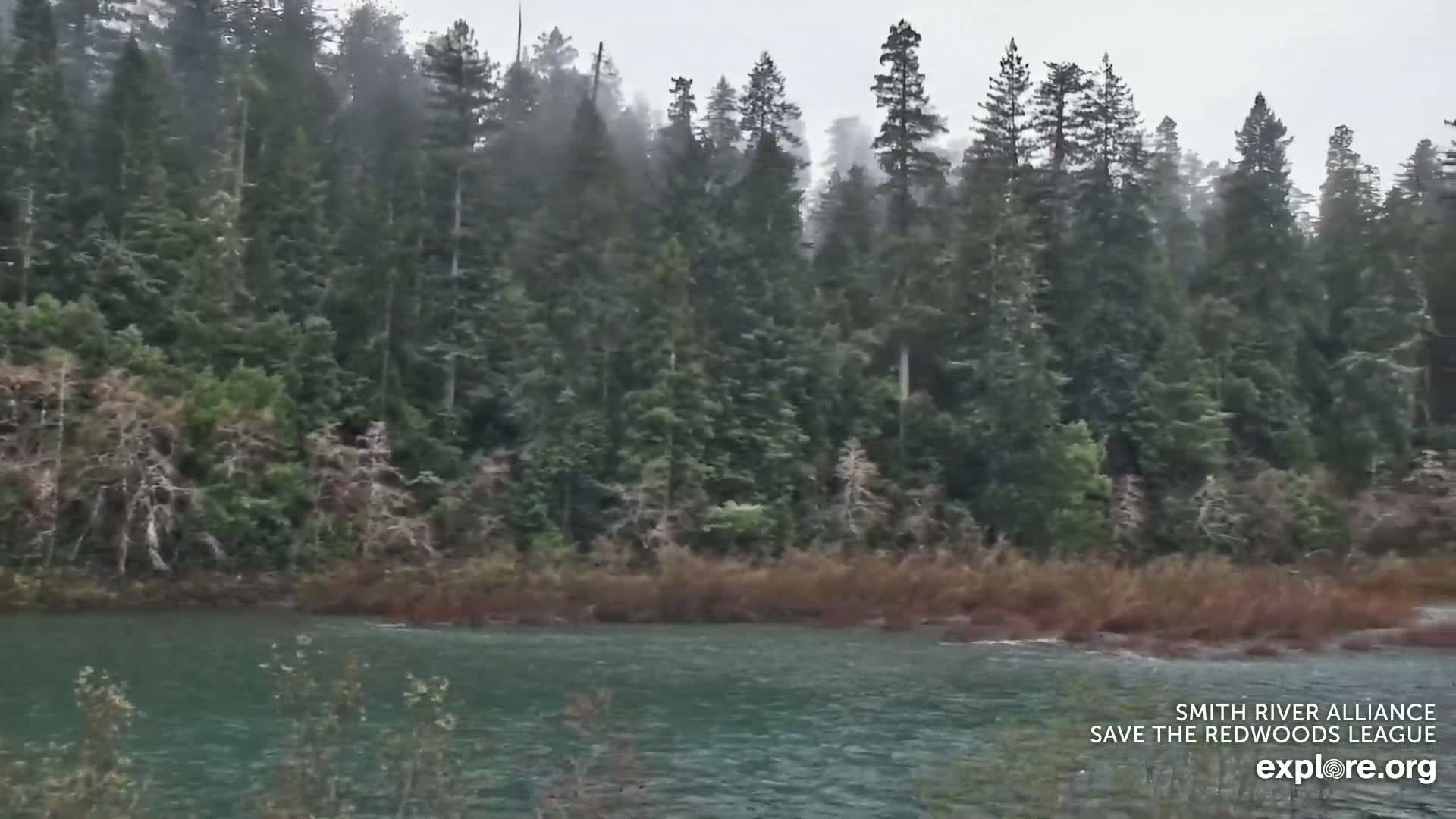 Crescent City, Jedediah Smith Redwoods State Park & Smith River Live Cam - Crescent City, Del Norte, California, USA