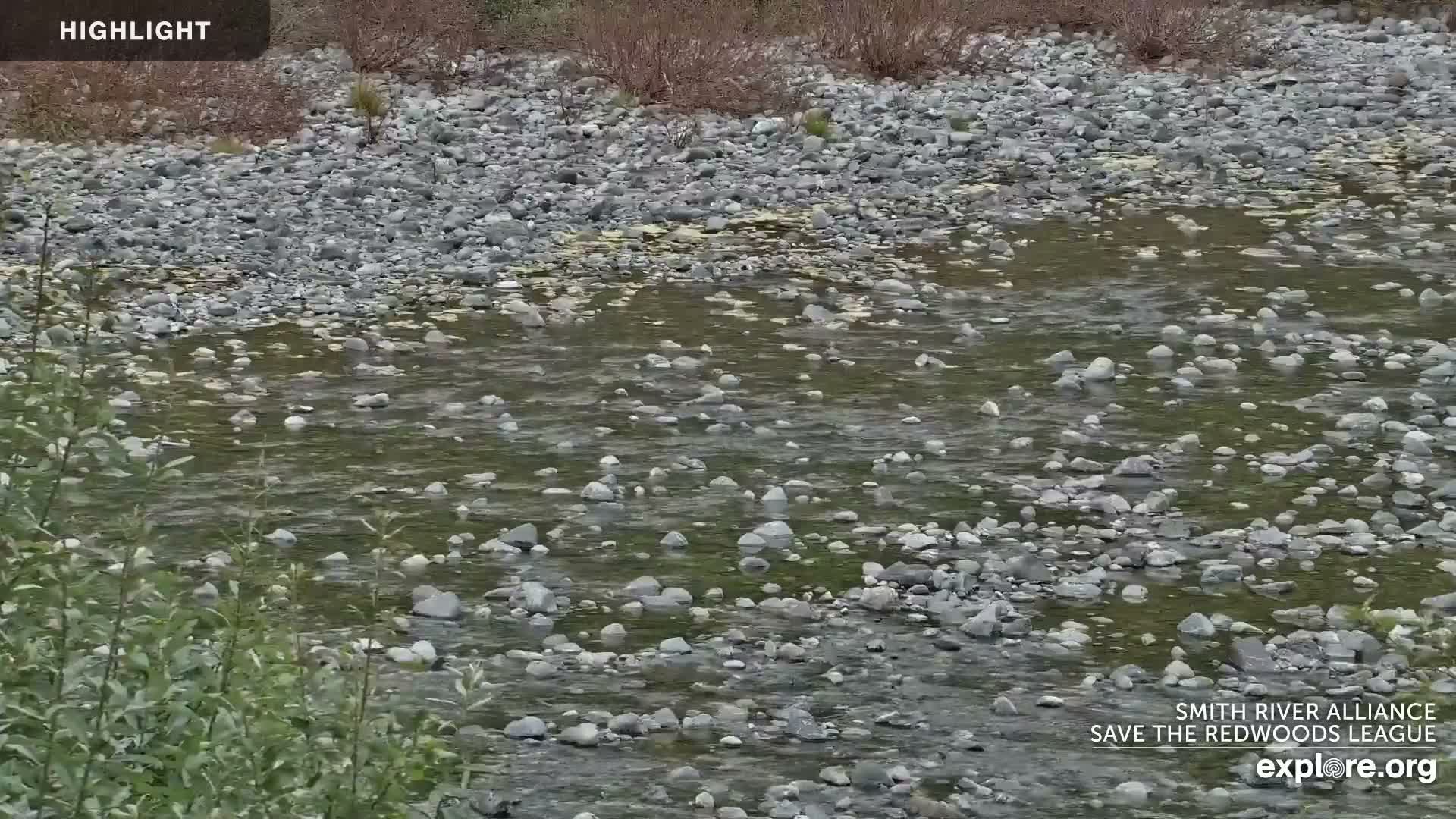 Crescent City, Jedediah Smith Redwoods State Park & Smith River Live Cam - Crescent City, Del Norte, California, USA