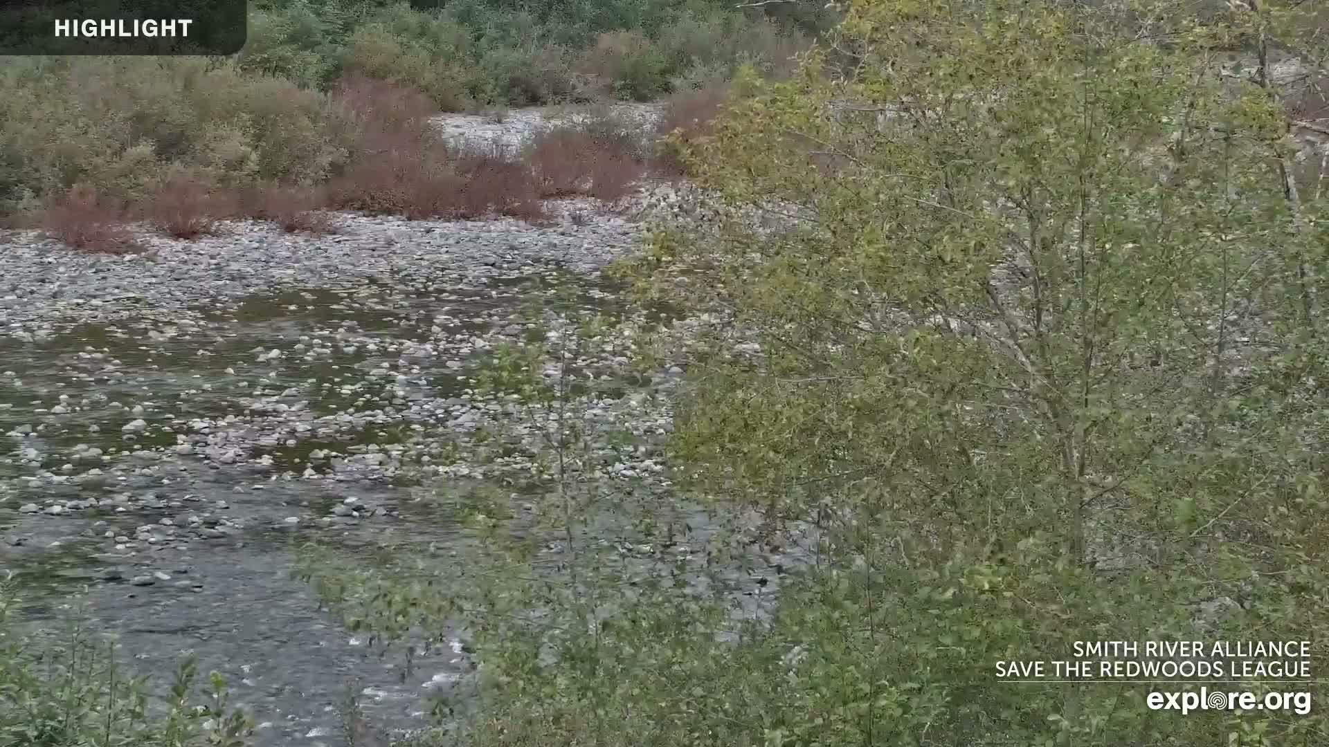 Crescent City, Jedediah Smith Redwoods State Park & Smith River Live Cam - Crescent City, Del Norte, California, USA