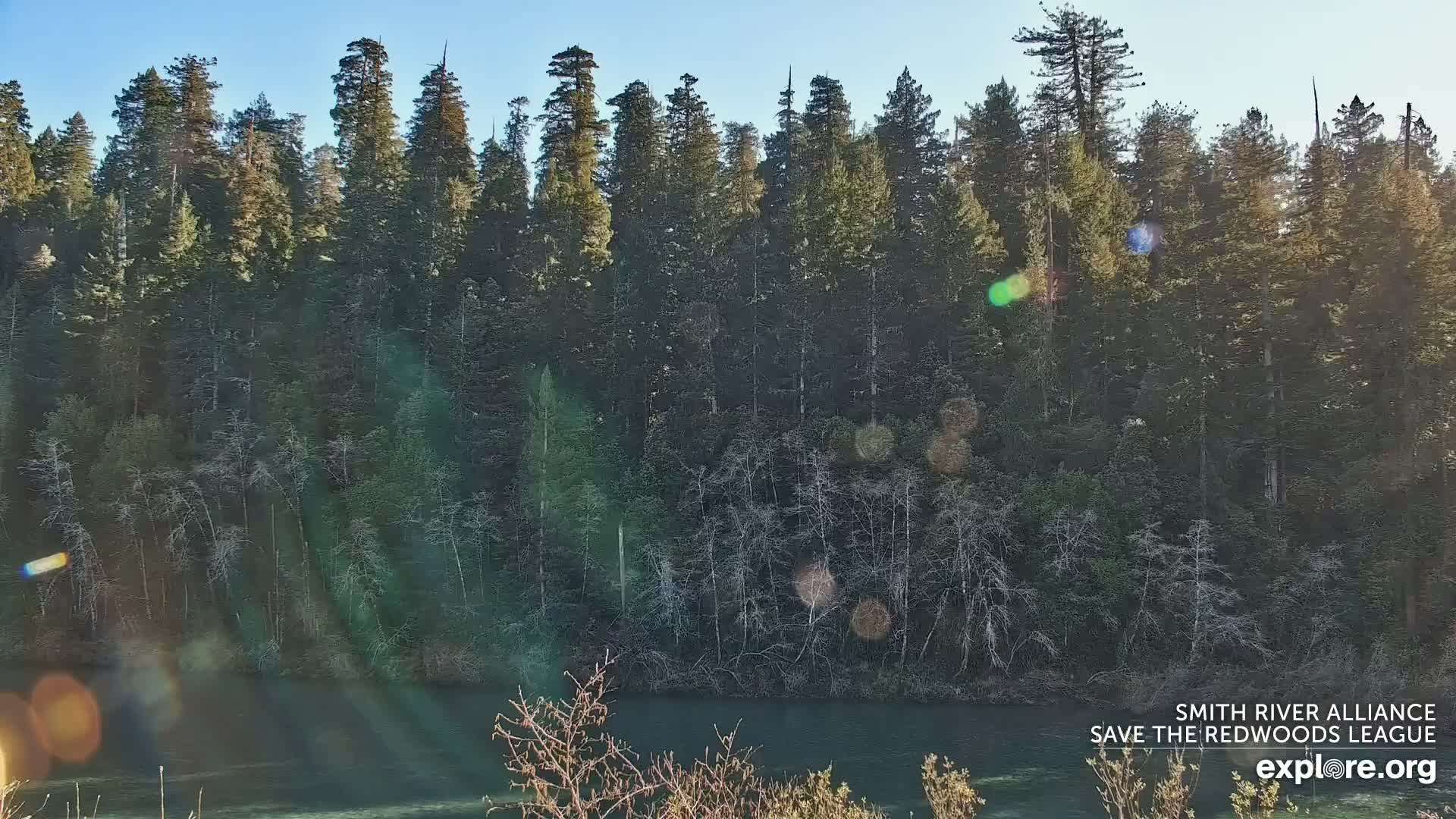 Crescent City, Jedediah Smith Redwoods State Park & Smith River Live Cam - Crescent City, Del Norte, California, USA