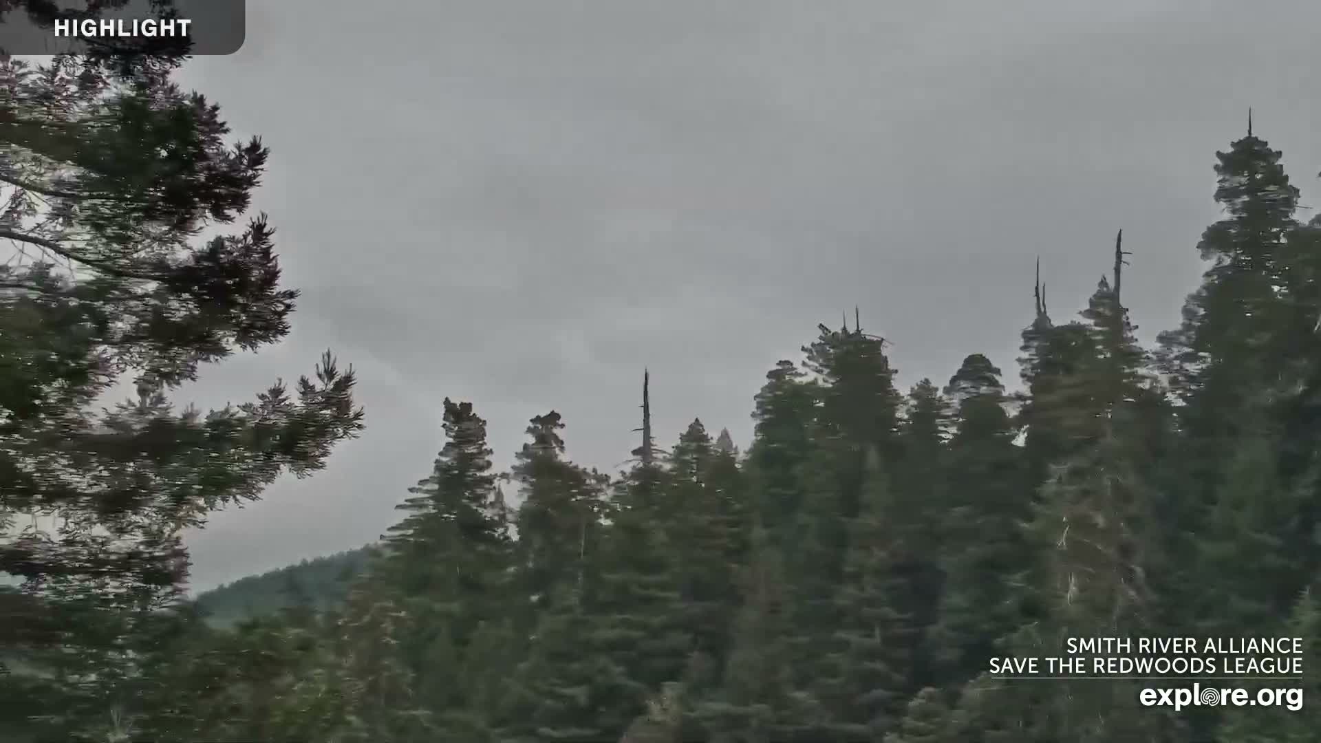 Crescent City, Jedediah Smith Redwoods State Park & Smith River Live Cam - Crescent City, Del Norte, California, USA