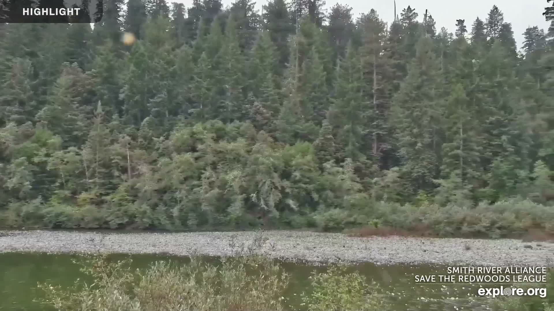 Crescent City, Jedediah Smith Redwoods State Park & Smith River Live Cam - Crescent City, Del Norte, California, USA