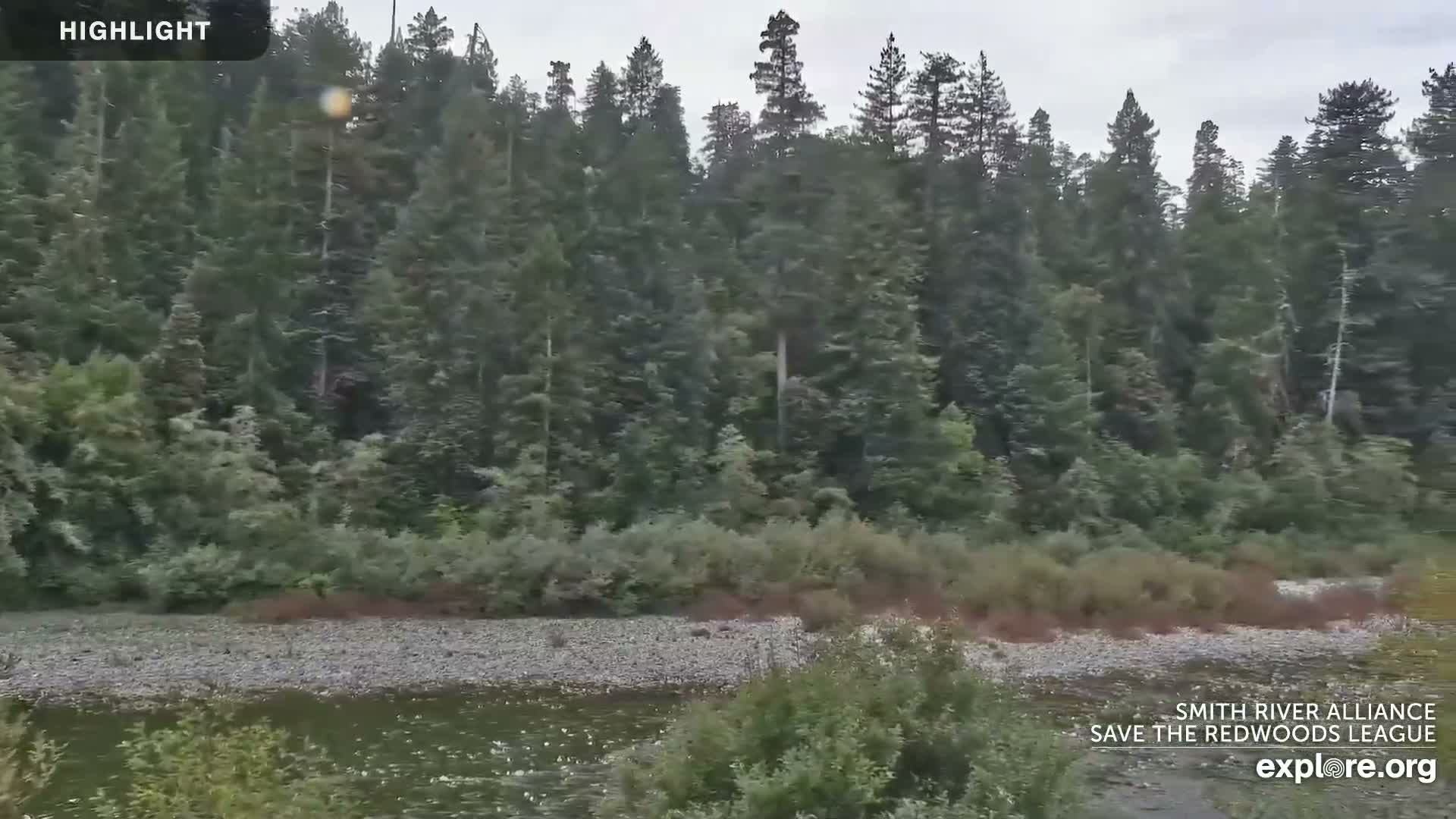 Crescent City, Jedediah Smith Redwoods State Park & Smith River Live Cam - Crescent City, Del Norte, California, USA