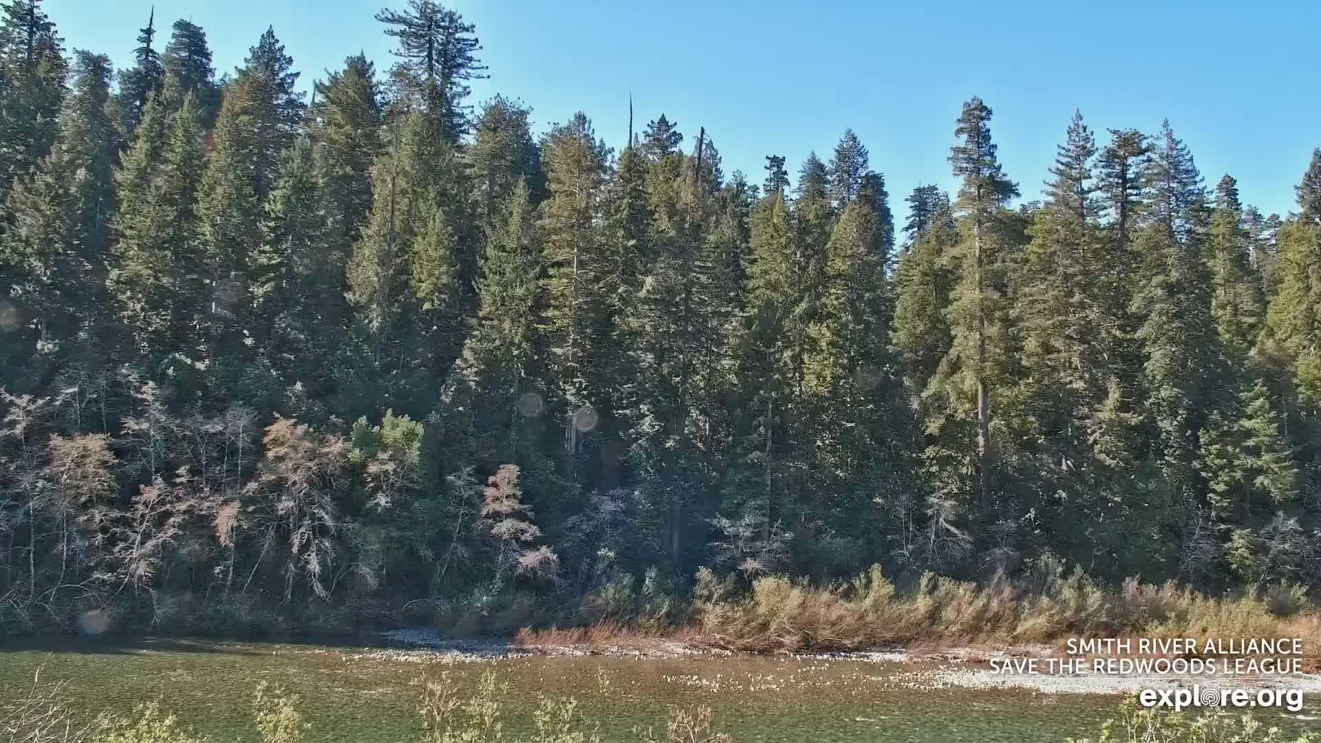 Crescent City, Jedediah Smith Redwoods State Park & Smith River Live Cam - Crescent City, Del Norte, California, USA