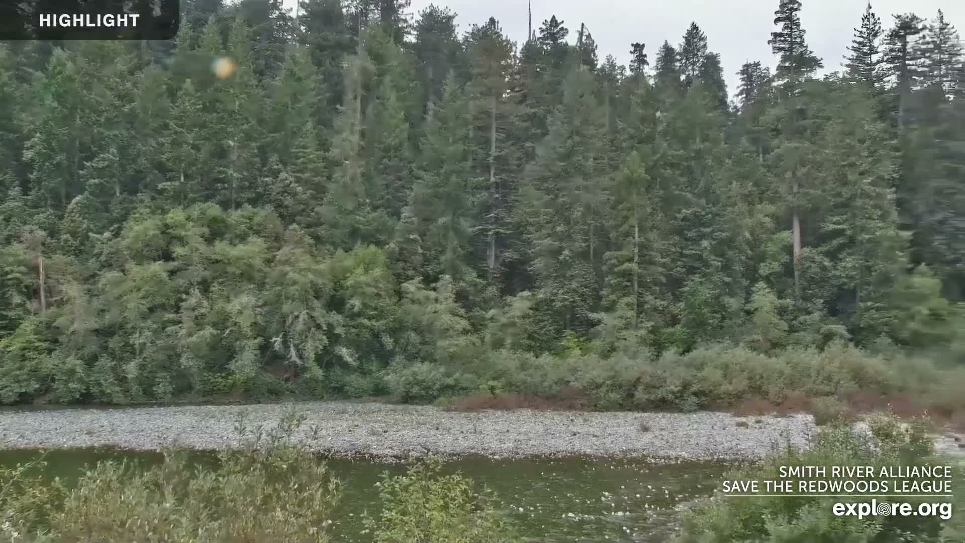 Crescent City, Jedediah Smith Redwoods State Park & Smith River Live Cam - Crescent City, Del Norte, California, USA