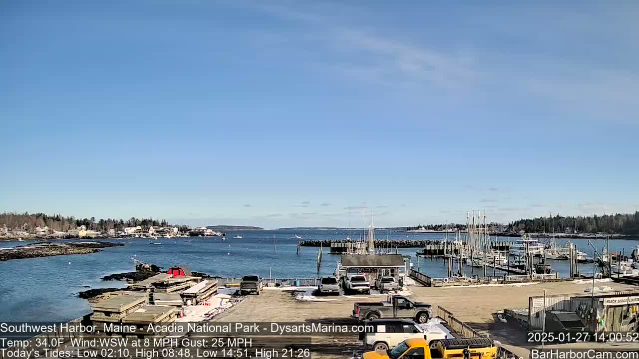 A harbor with numerous boats docked, a parking lot with several vehicles, and a small town in the background under a clear blue sky.
