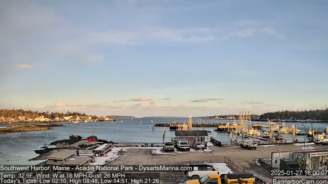 A harbor with numerous boats docked, a few cars in a parking lot, and a town in the background under a mostly clear, light blue sky.