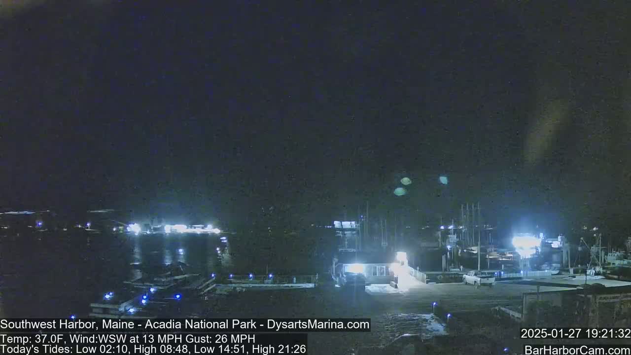 A nighttime harbor scene with several boats docked, under a dark, clear sky.