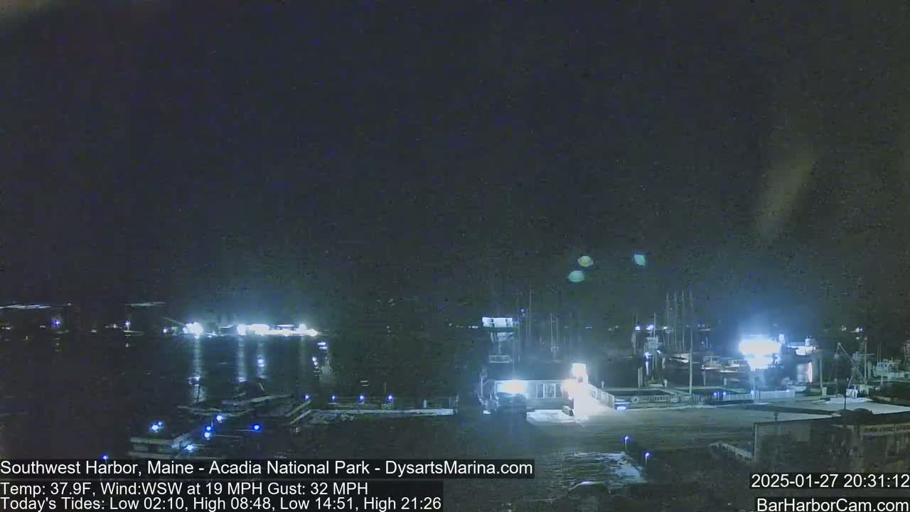 A nighttime view of a harbor with several boats docked, under a dark, mostly clear sky with a slight wind.