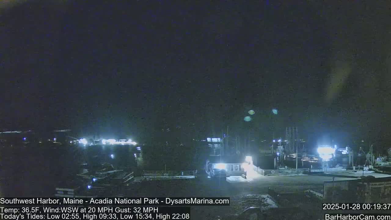 A nighttime harbor scene with boats and buildings under a dark, clear sky, with a strong wind.