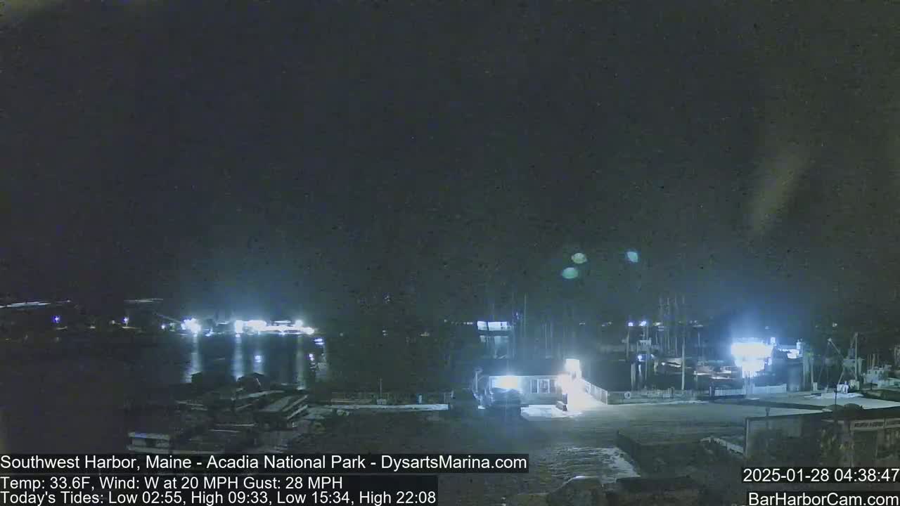 A nighttime harbor scene with boats docked under a dark, clear sky and a 20 mph wind with gusts up to 28 mph.