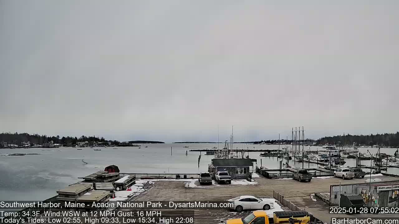 A harbor with numerous boats docked, partially covered in ice, under an overcast sky.