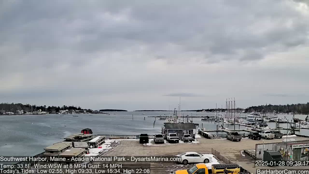 A harbor with numerous boats and a parking lot containing several cars and trucks under an overcast sky.