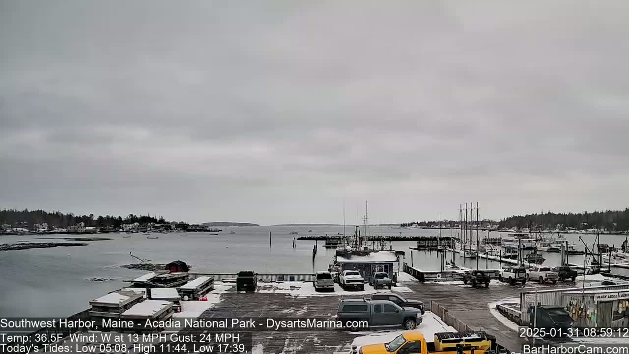 A snow-dusted harbor with numerous boats and cars under an overcast sky.