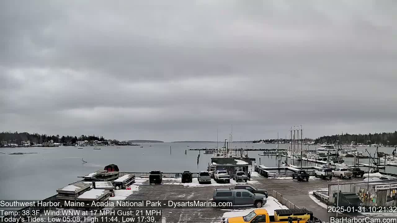 A snow-dusted harbor with numerous boats and vehicles under a cloudy sky.