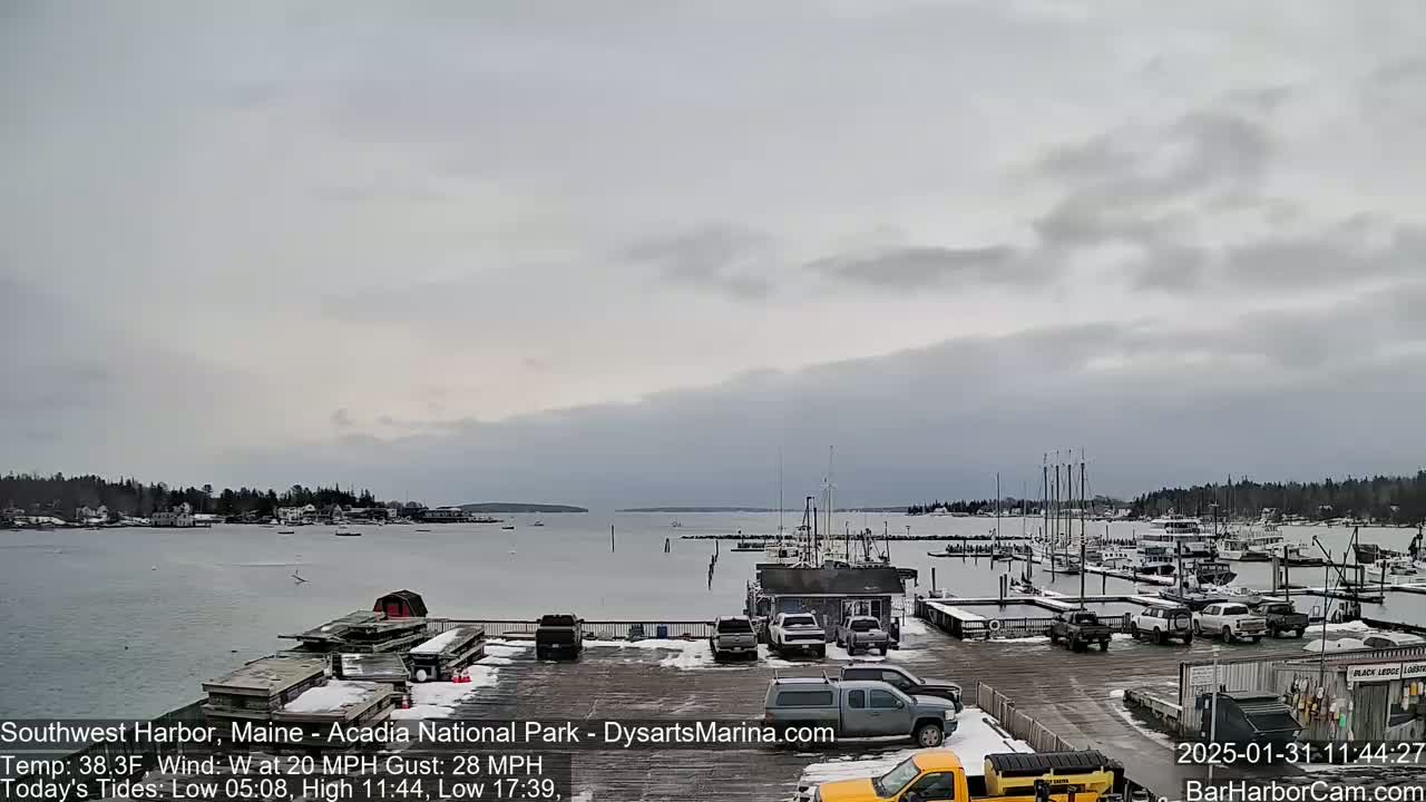 A harbor with numerous boats docked under an overcast sky, with light snow on the ground and a 20 mph wind.