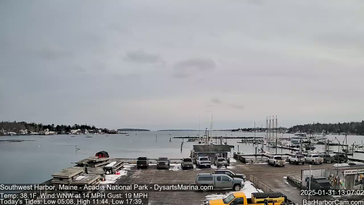 A harbor with numerous boats docked, a parking lot with several vehicles, and a small town across the water under an overcast sky.