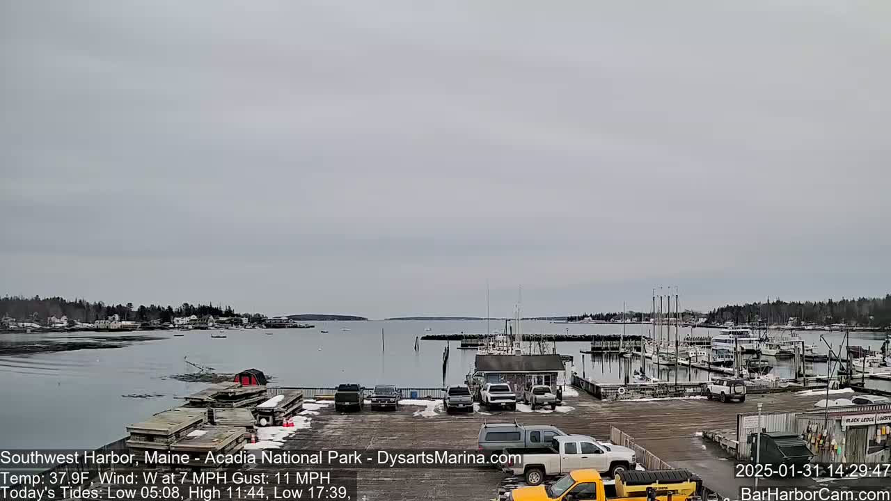 A harbor filled with boats under a gray, overcast sky, with cars parked in a lot next to the water.