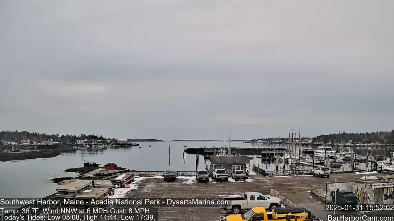 A harbor with boats docked, cars parked in a lot, and a calm, overcast sky.