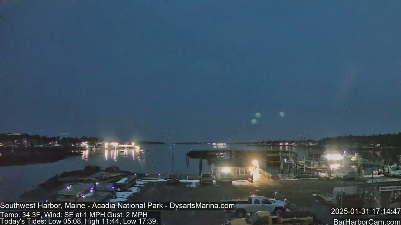 A nighttime harbor scene with calm water, illuminated boats, and a few vehicles parked near buildings under a dark blue, clear sky.