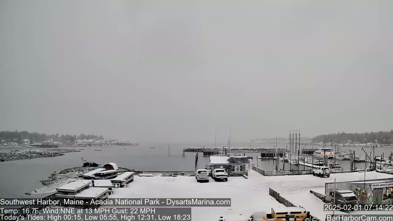 A snow-covered harbor scene shows a calm body of water with boats docked, surrounded by snow-covered buildings and vehicles under an overcast sky.