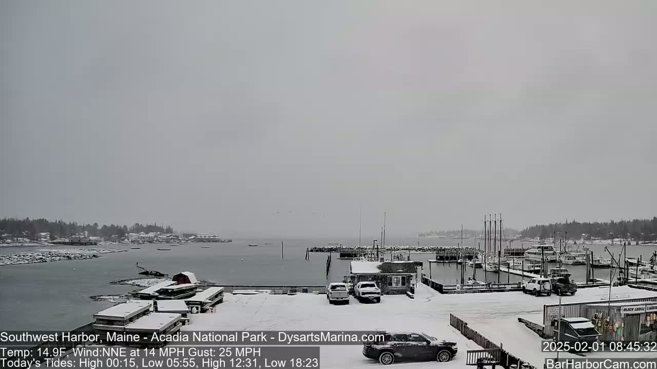 A snow-covered harbor with boats docked and cars parked, viewed under a gray, overcast sky.