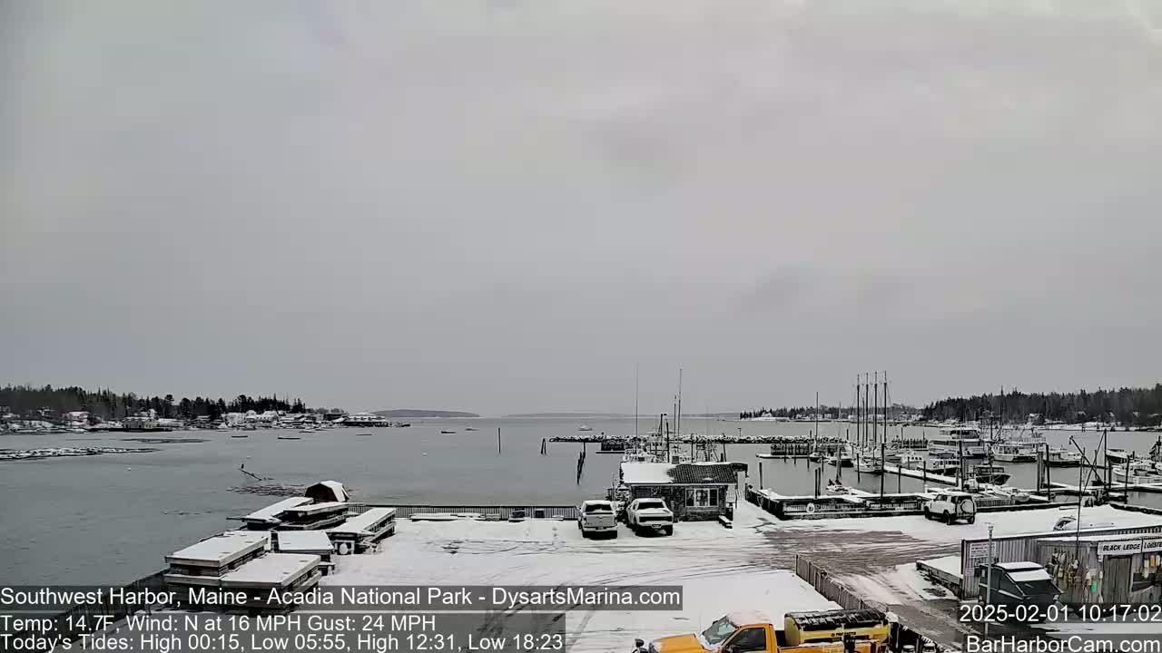 A snow-covered harbor with numerous boats docked, under an overcast sky.