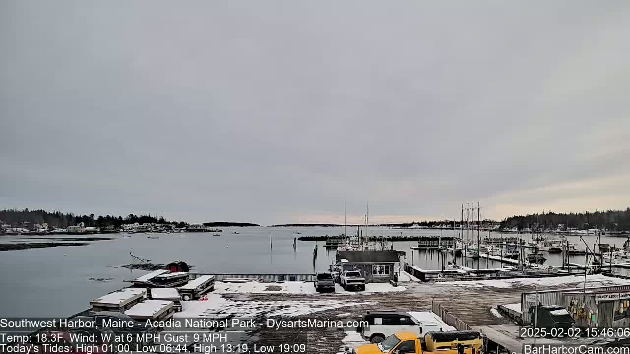 A snow-dusted harbor with numerous boats docked, under an overcast sky.