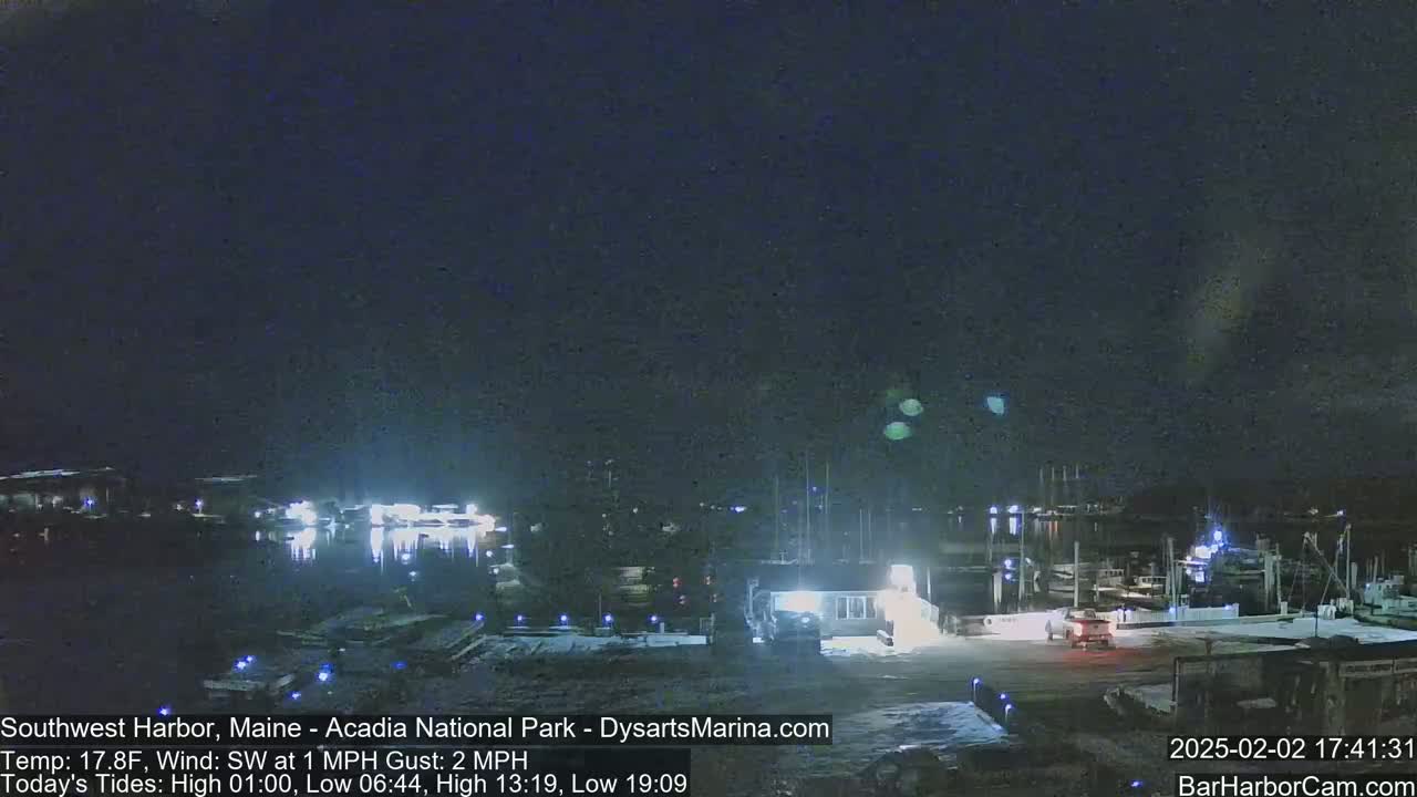 A nighttime view of a harbor with boats docked, under a dark, clear sky.